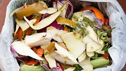 How much food do you waste?